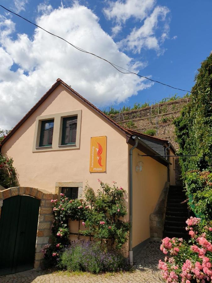 Unterkunft Am Weinberg Nunchritz Zewnętrze zdjęcie